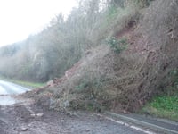 Dormice delay in A40 rock fall clearance
