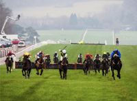 Chepstow Races Season Opener live coverage