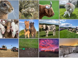 Winners revealed for FUW 2025 calendar competition