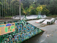 Wyeside skatepark revamp on a roll