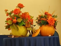 Floral society enjoys displays by national speaker