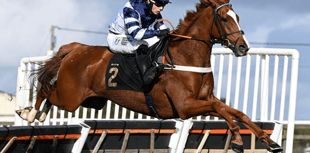 Celtic Dino second in Ascot showcase as Sam celebrates more success