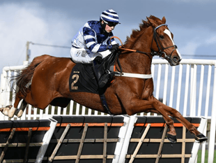 Celtic Dino second in Ascot showcase as Sam celebrates more success