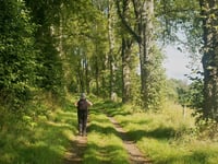 Walk where the Curlews call
