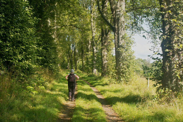 Ramble to where the curlews sing
