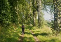 Chase Wood and Penyard Park ramble from Ross