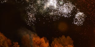 Council to highlight impact of fireworks on animals