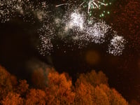 Council to highlight impact of fireworks on animals