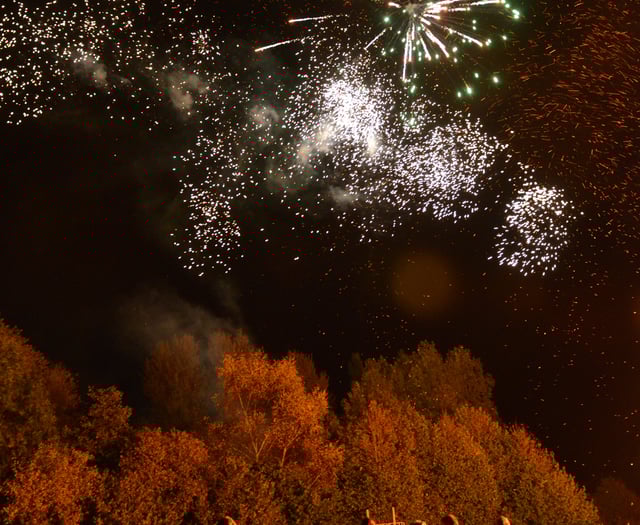 Council to highlight impact of fireworks on animals