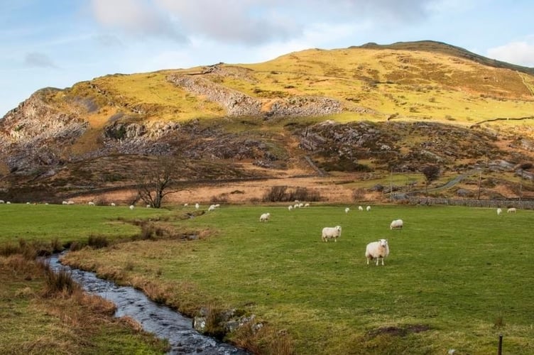 Landscape