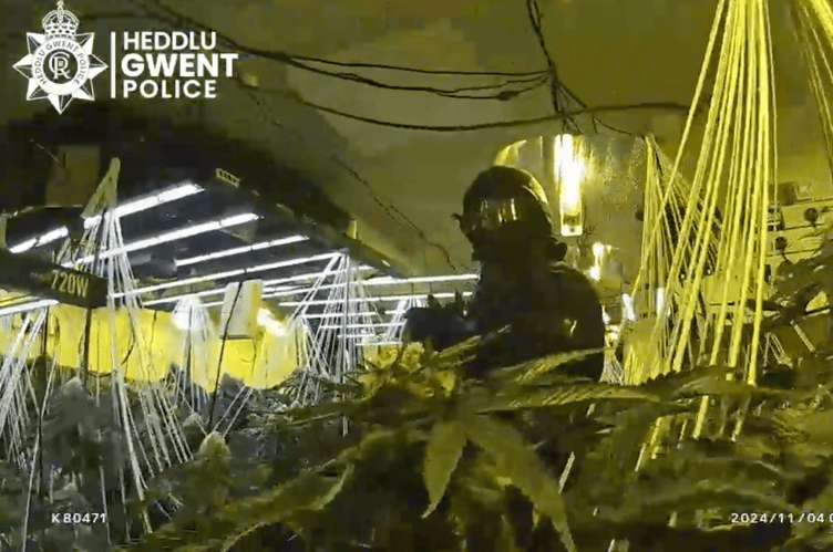 A police officer surveys the cannabis cultivation in the town centre premises after a raid in Chepstow