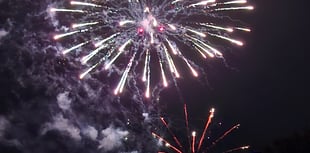 Survey finds horse-owners prefer low-noise fireworks
