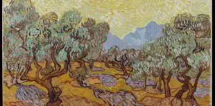 Van Gogh: Poets and lovers, new Exhibition on Screen Film