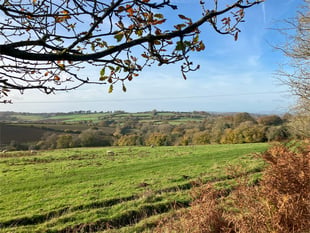 Forestry England buys farmland in the Forest of Dean 

