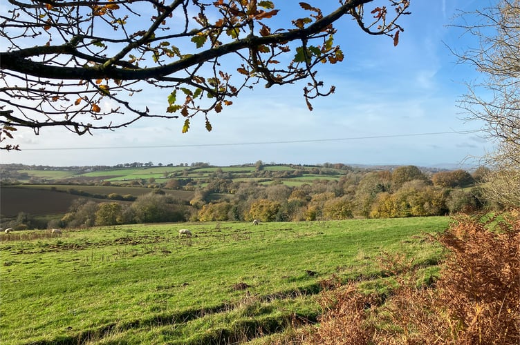 Hoathorns Farm