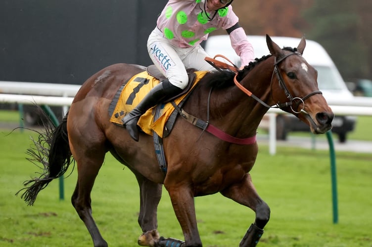 Charlie Deutsch salutes as Royale Pagaille takes the Betfair Chase for the second year running. Photo: Great British Racing 