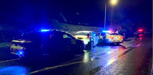 Police arrest man after stinger car stop