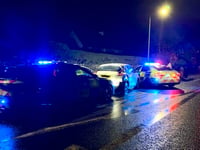 Police arrest man after stinger car stop