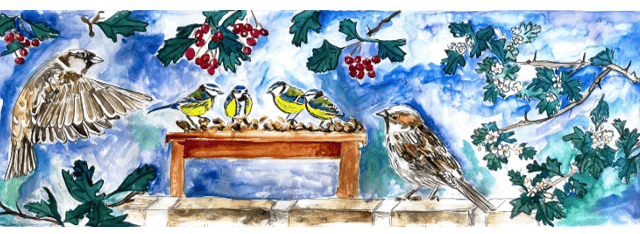 Call for crafters to help create biodiversity tapestry