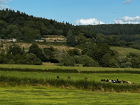 Plans for houses at Dixton hits roadblock