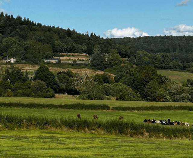 Plans for houses at Dixton hits roadblock