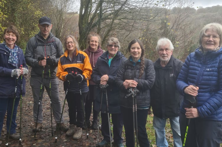 Nordic walking