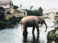 Wildlife SOS are touring the UK in October 2026.