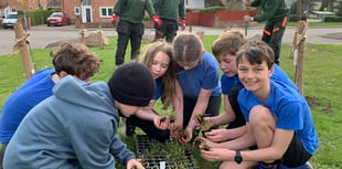 Get involved in green spaces in your community