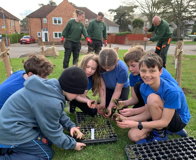 Get involved in green spaces in your community