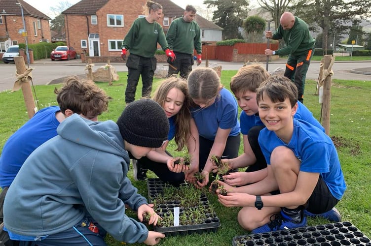 Developing green fingers