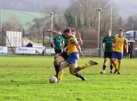 Chubb checks in for Kingfishers