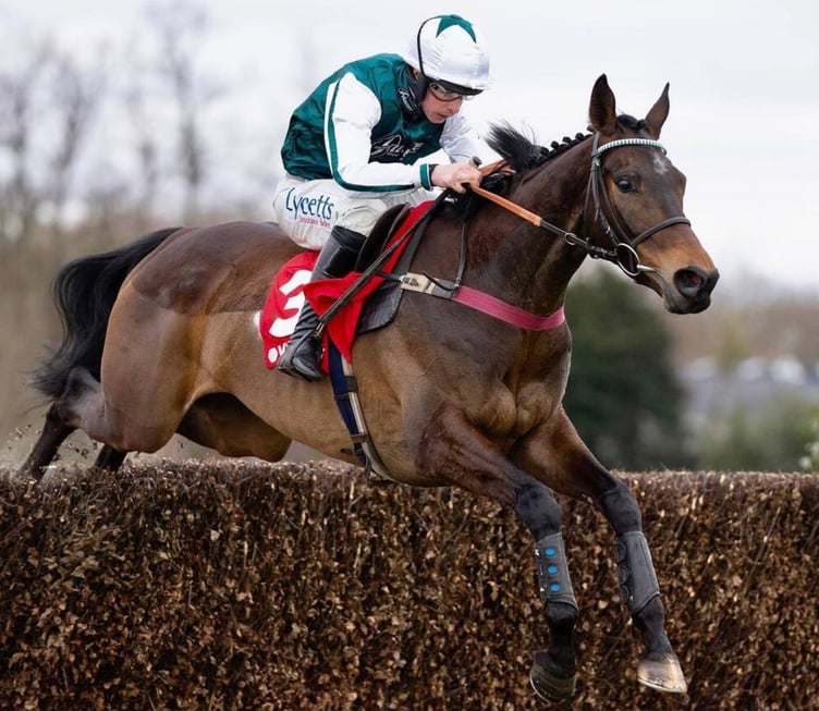 L'Homme Presse impressed with third in the prestigious King George VI Chase. File photo: Venetia Williams Racing