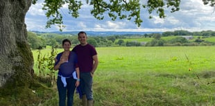 Micro-brewery green light for 're-wilding' farm
