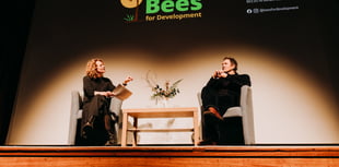 An evening with celebrity patrons for bees charity