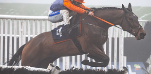 Racecourse defends cancellation after two races