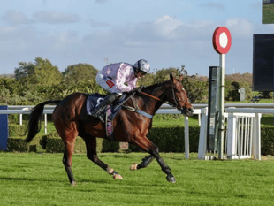 Ryan Potter gears up for busy race meeting