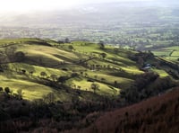 Outbreak of foot and mouth in Germany 'a concern' for farmers in Wales