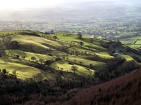 Outbreak of foot and mouth in Germany 'a concern' for farmers in Wales