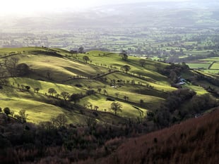 Outbreak of foot and mouth in Germany 'a concern' for farmers in Wales