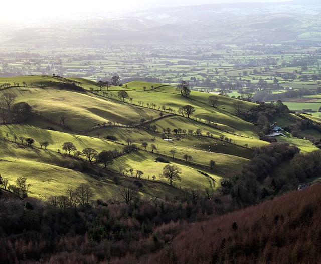 Outbreak of foot and mouth in Germany 'a concern' for farmers in Wales