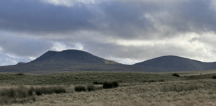 Black Mountains awarded £995,152 for landscape restoration