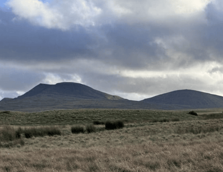 Black Mountains awarded £995,152 for landscape restoration ...