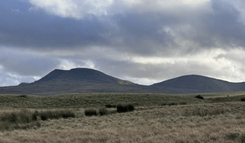 Black Mountains awarded £995,152 for landscape restoration