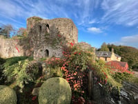Castle storms it with National Gardens honour