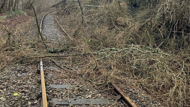 Storm damage on the Heart of Wales line in 2024