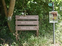 Upcoming tree works at Mill Common
