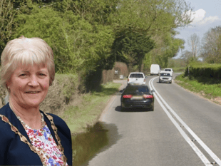 ‘Staggering’ green waste charge increase sparks concerns  at council