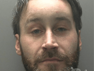 XL Bully  attack on child results in three-year sentence for owner