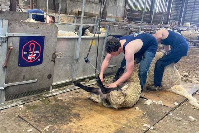 Special deals on courses for young farmers