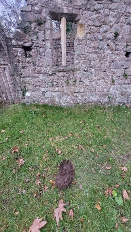 Chair, Forest of Dean Buildings Preservation Trust
